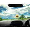 Coolballs California Sunshine Car Antenna Topper / Auto Dashboard Accessory (Black)